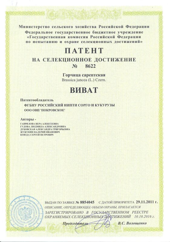 8622 Патент горцица Виват